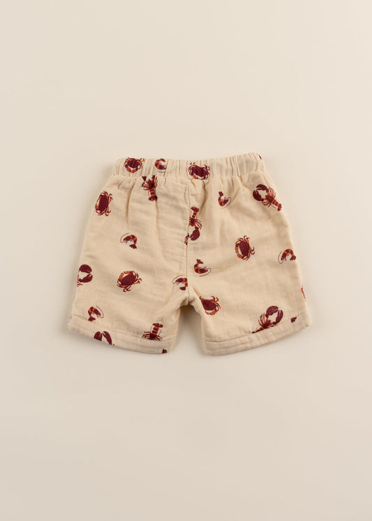 100% Organic Cotton Muslin short - Molusk (Toddler)