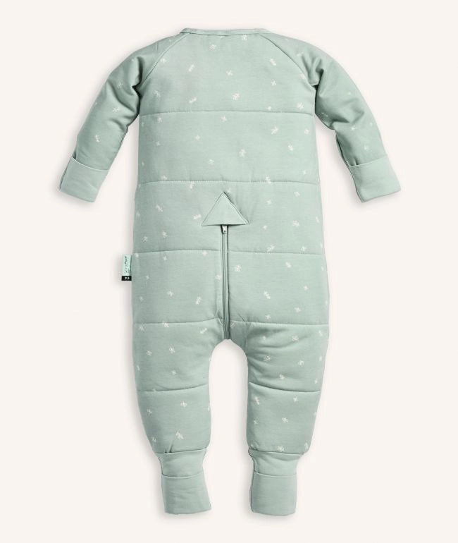 Sleep Onesies 2.5 TOG