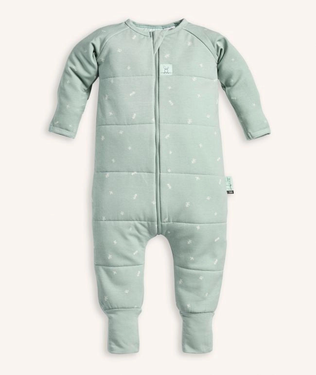 Sleep Onesies 2.5 TOG