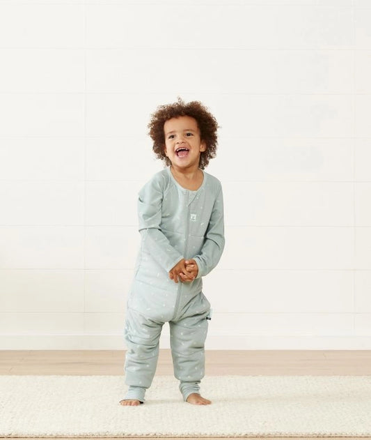 Sleep Onesies 2.5 TOG