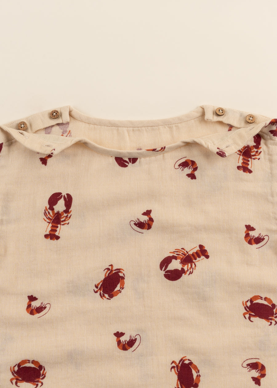 100% Organic Cotton Muslin T-shirt - Molusk (Toddler)