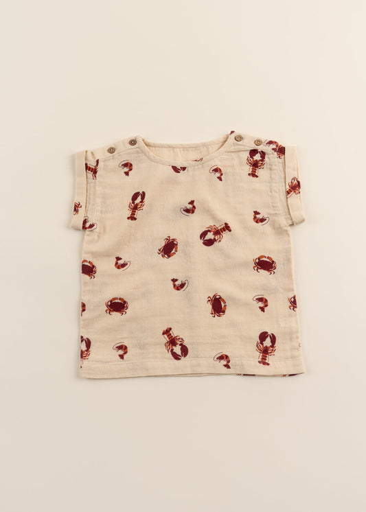 100% Organic Cotton Muslin T-shirt - Molusk (Toddler)