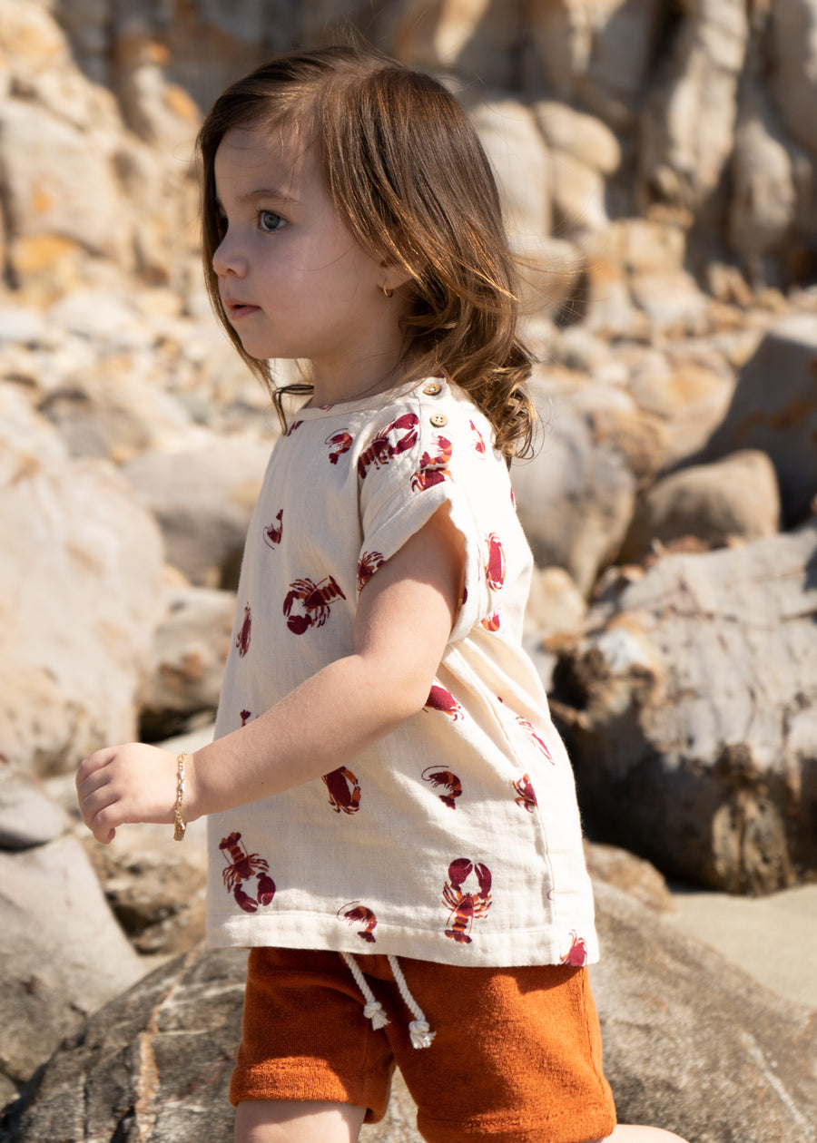 100% Organic Cotton Muslin T-shirt - Molusk (Toddler)